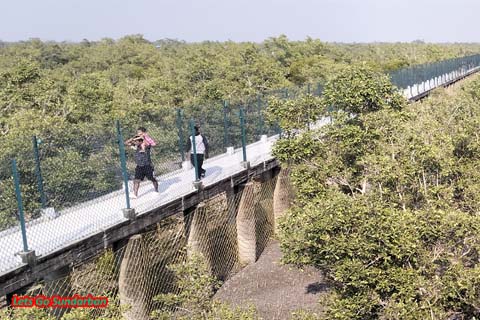 Sundarban National Park