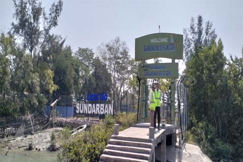 Sundarban Forest