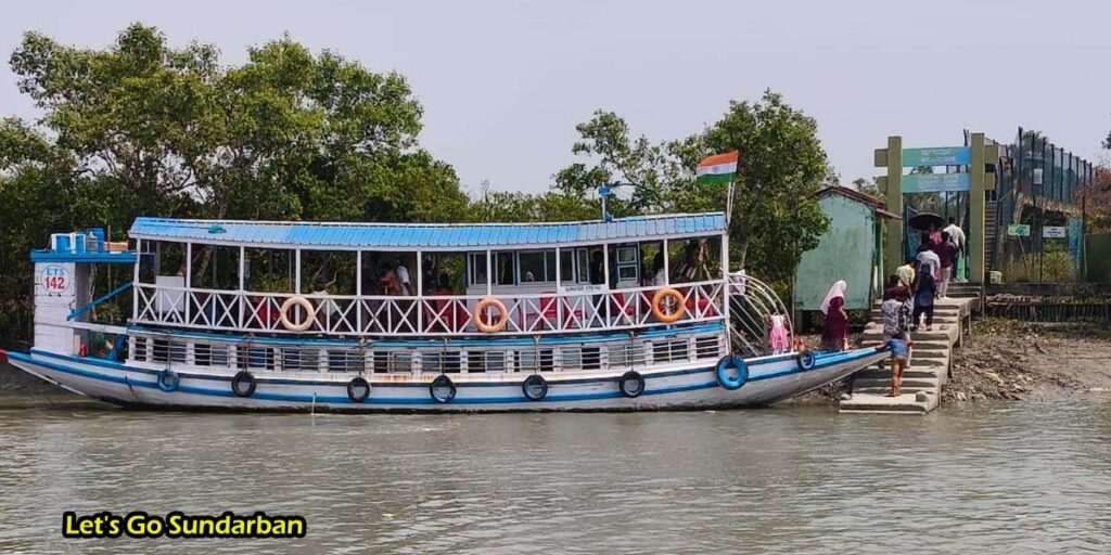 Sundarban forest boat safari